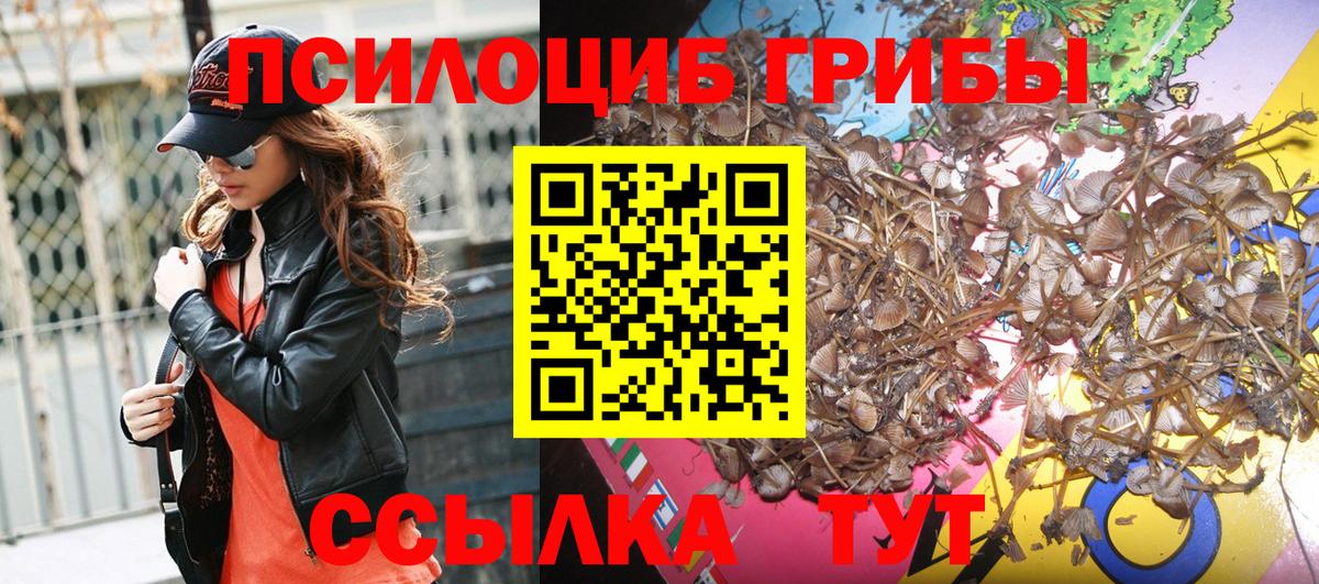 Галлюциногенные грибы MAGIC MUSHROOMS Чусовой