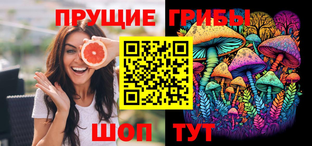сколько стоит  Вход с VPN  Чусовой  Псилоцибиновые грибы Cubensis 
